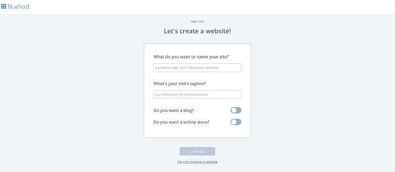 (10) Name your website
